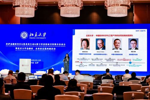 數(shù)字經(jīng)濟(jì)新引擎 2024拉薩金融商務(wù)區(qū)格桑花行動(dòng)招商引資洽談會(huì)啟航