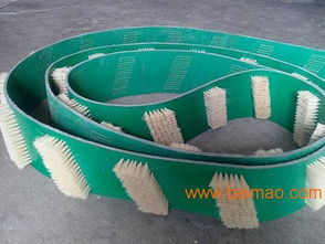 安徽皮帶毛刷產(chǎn)業(yè)與空氣凈化器應(yīng)用 供應(yīng)、加盟與生產(chǎn)廠家全解析